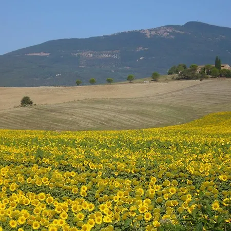 Giuseppe Nocleg ze śniadaniem