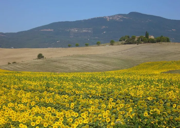 Giuseppe Bed & Breakfast